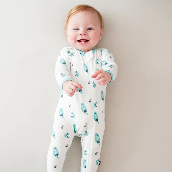 Kyte BABY Other - EUC Kyte Baby Zippered Romper in Robin Cuddle Print